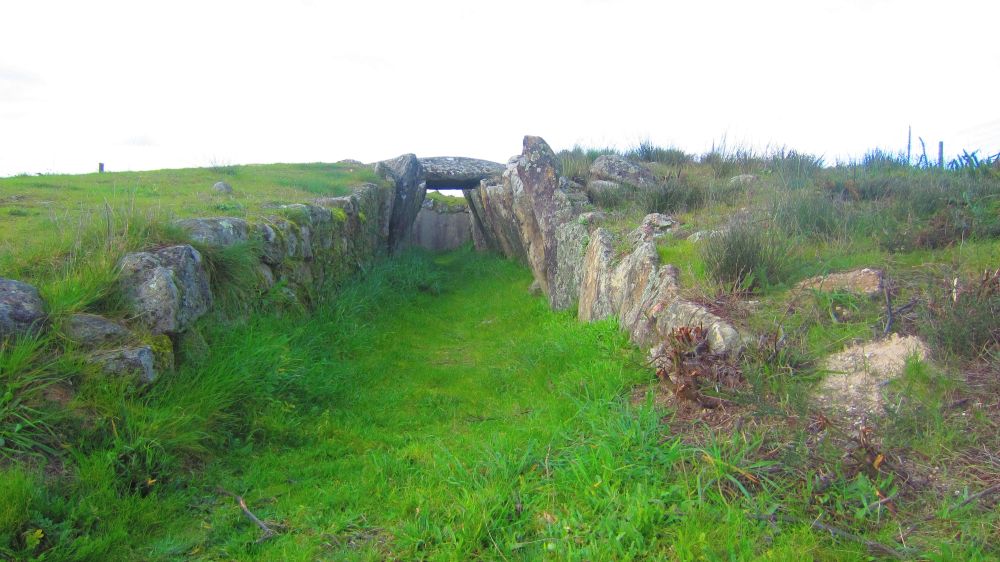 Anta_Pinheiro_dos_Abracos