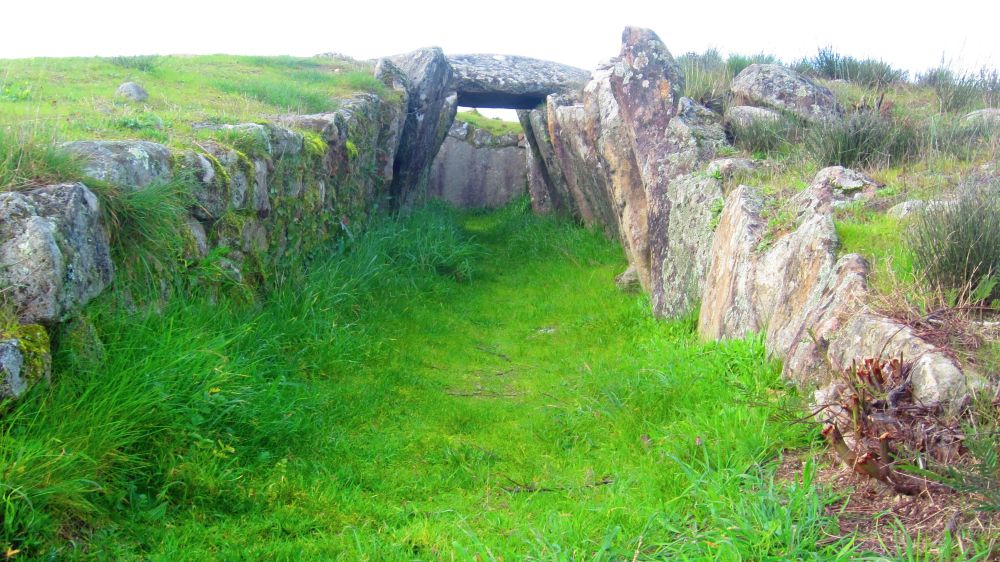 Anta_Pinheiro_dos_Abracos