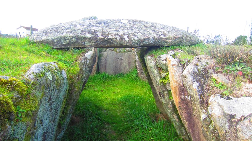 Anta_Pinheiro_dos_Abracos