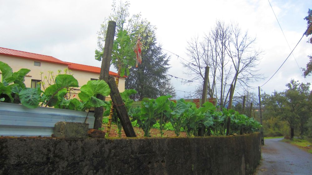 Kohlgarten
