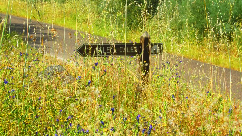 Vale de Cales (Charfudao)