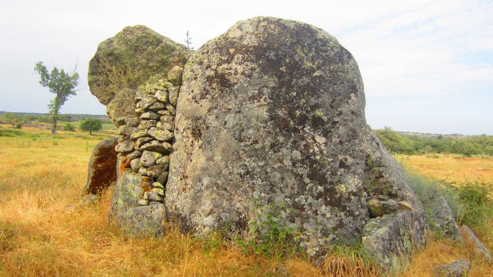 Anta dos Coureleiros 2