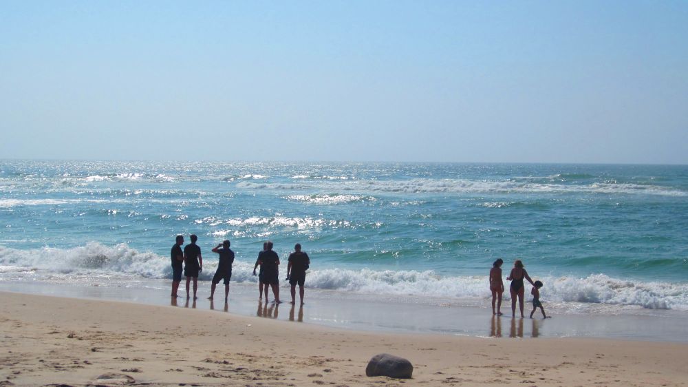 Strand
