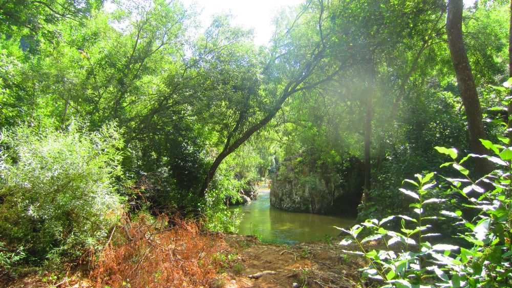 Fluss