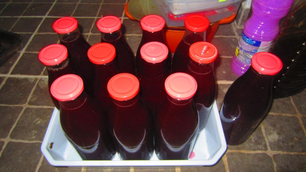 Traubensaft Flaschen