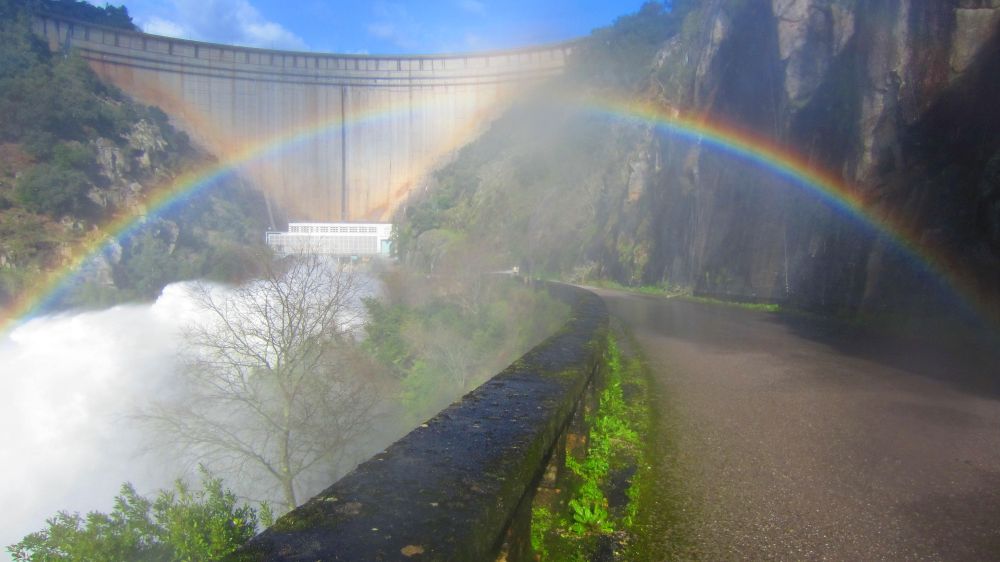 Regenbogen