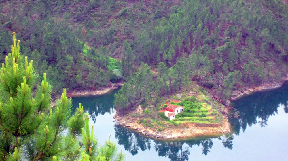 Landzunge