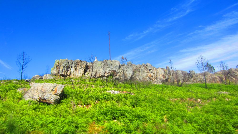 Felsen