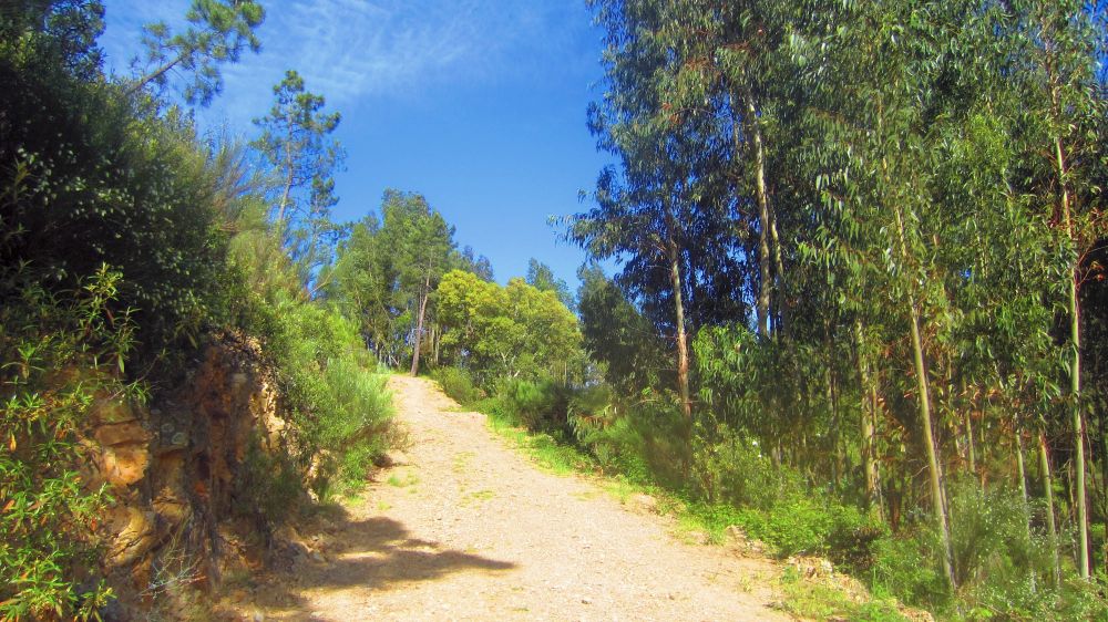 Weg