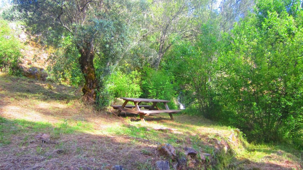 Picknicktisch