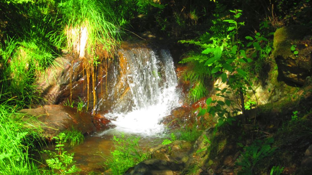 Wasser