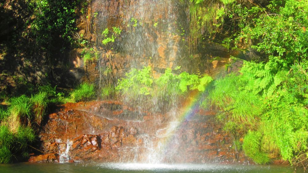 Regenbogen