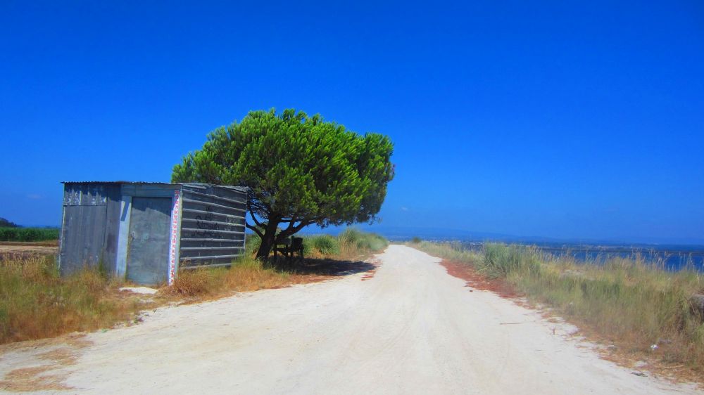 Weg am Meer