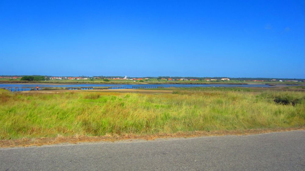 Meer