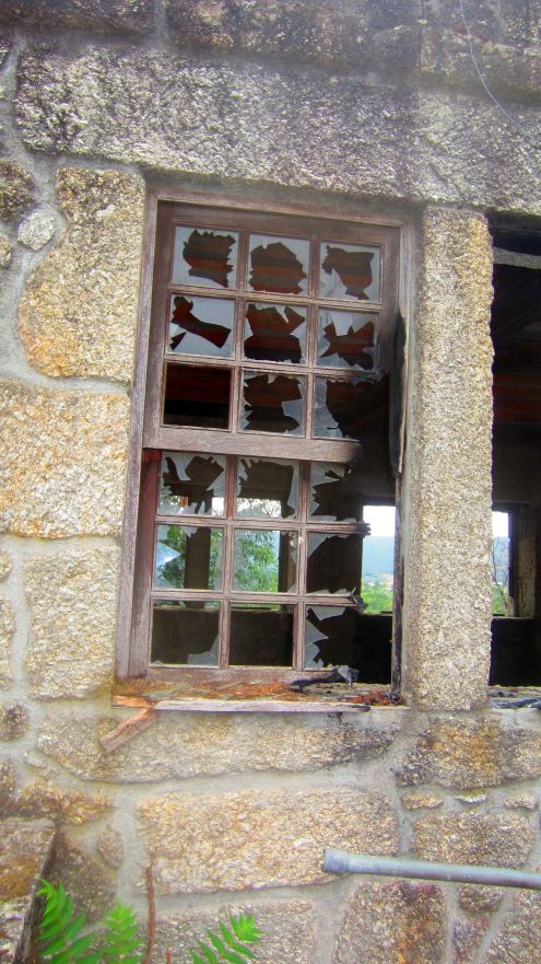 Fenster