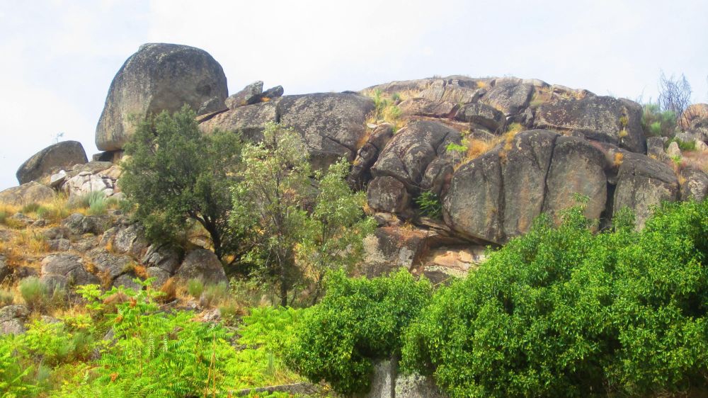 Felsen