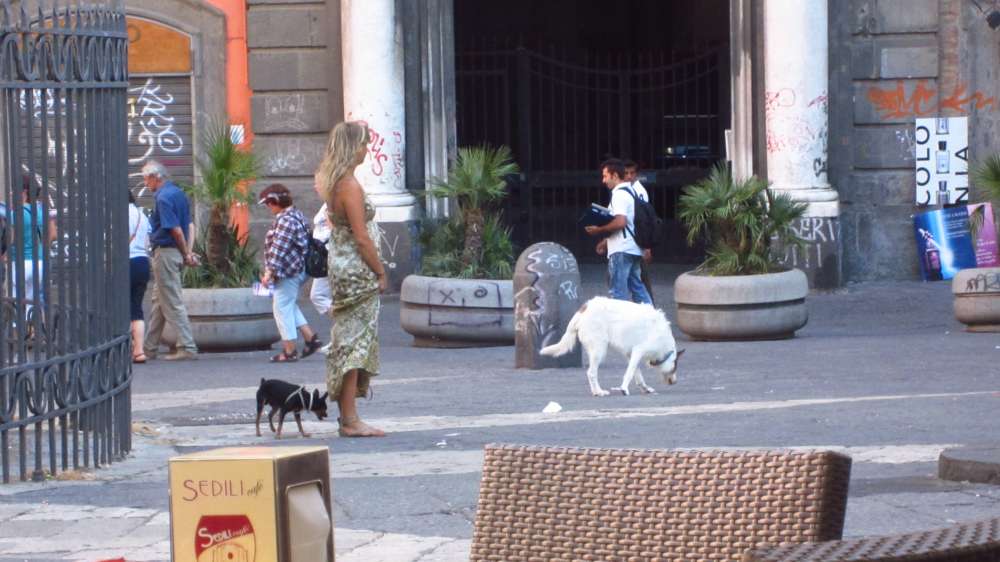 SanDomenico_Maggiore