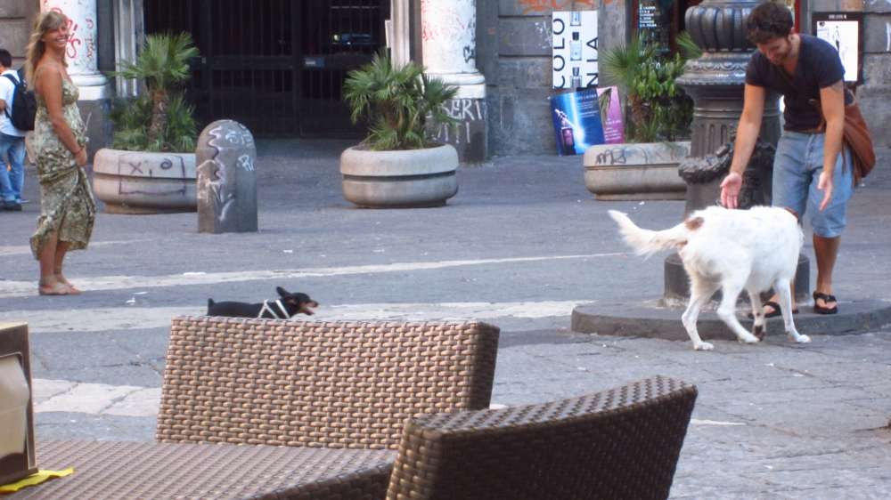 SanDomenico_Maggiore