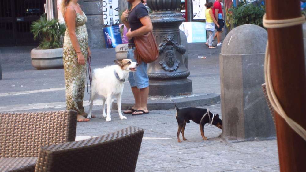 SanDomenico_Maggiore