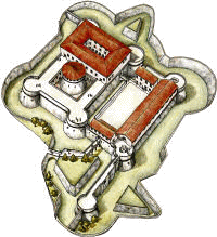 MAP_Fortezza_di_Firmafede