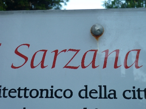 Sarzana