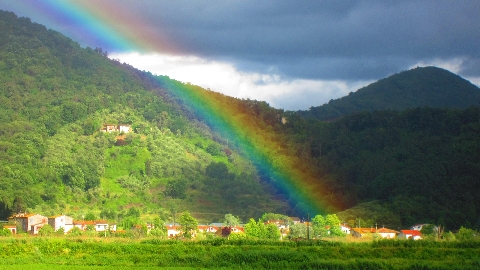 Regenbogen