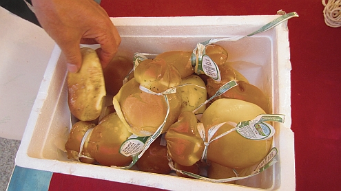 Scamorza