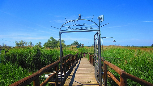 Oasi_di_Massaciuccoli