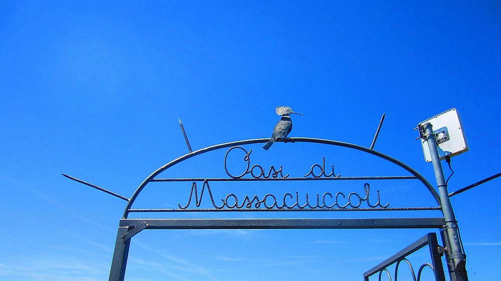 Oasi_di_Massaciuccoli