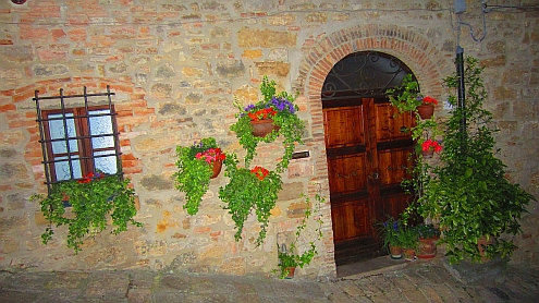 Volterra_Blumen