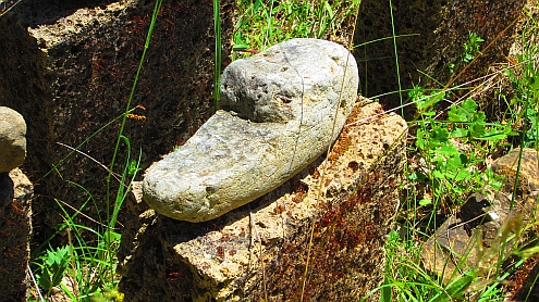 Traumgarten_Steinpantoffel