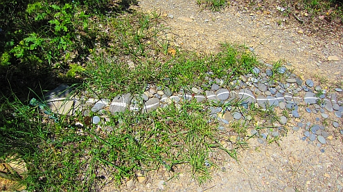 Traumgarten_Schlange