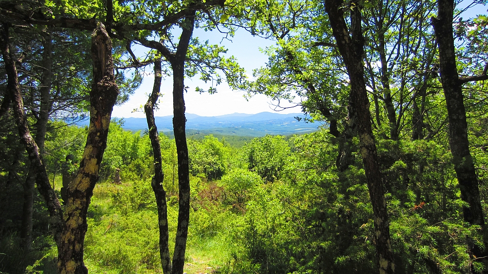 Traumgarten_Aussicht