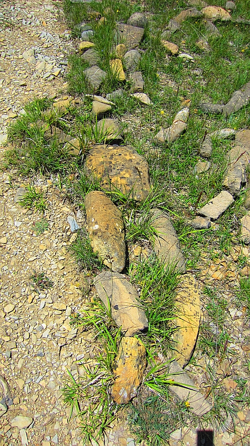 Traumgarten_Steinmann