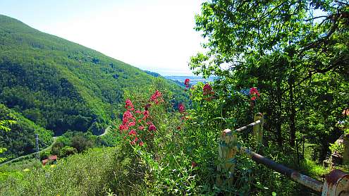 Vierwaldstaetter_See