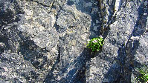 Vierwaldstaetter_See