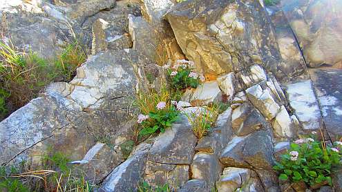 Vierwaldstaetter_See