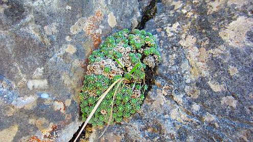 Vierwaldstaetter_See