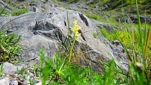 Vierwaldstaetter_See