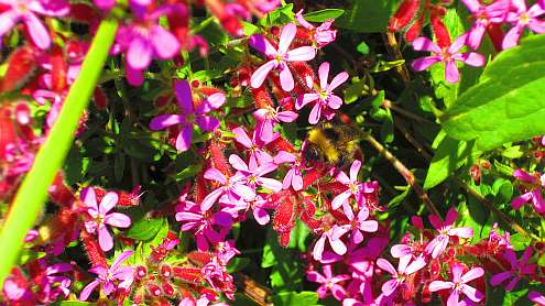 Vierwaldstaetter_See