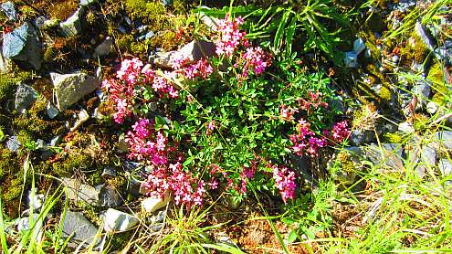 Vierwaldstaetter_See