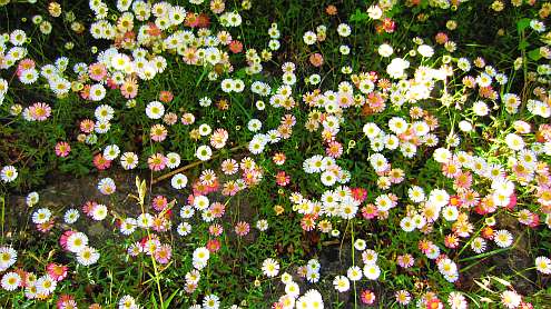 Vierwaldstaetter_See