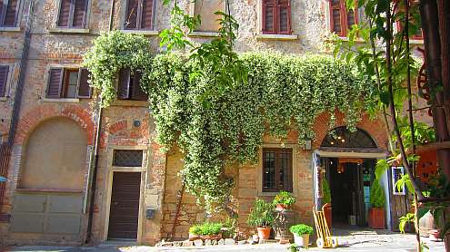 Bolgheri_JasminHecke