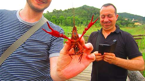 Oasi_Massaciuccoli_Krebs