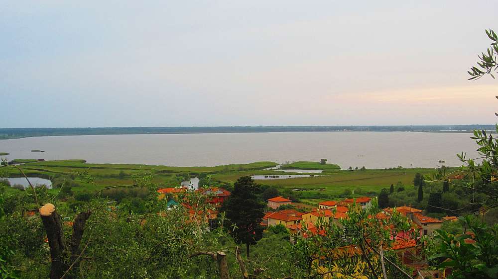 Lago_Massaciuccoli