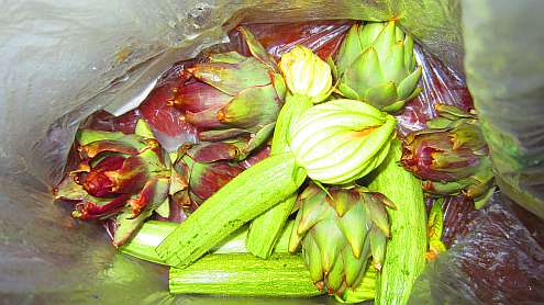 Zucchini_und_Artischocken
