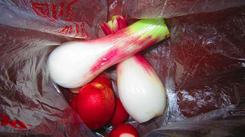 Zwiebeln_und_Radieschen