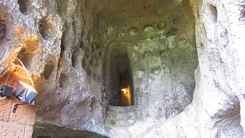 Oasi_Massaciuccoli_Krebs