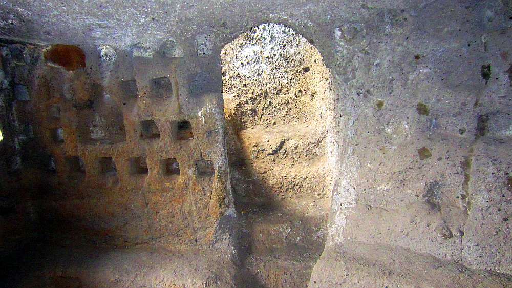 Oasi_Massaciuccoli_Krebs