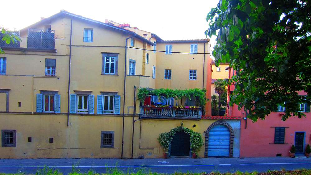Lucca